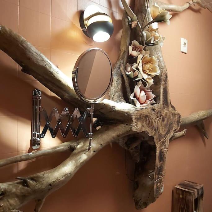 Appartement La Petite Souche Rochefort